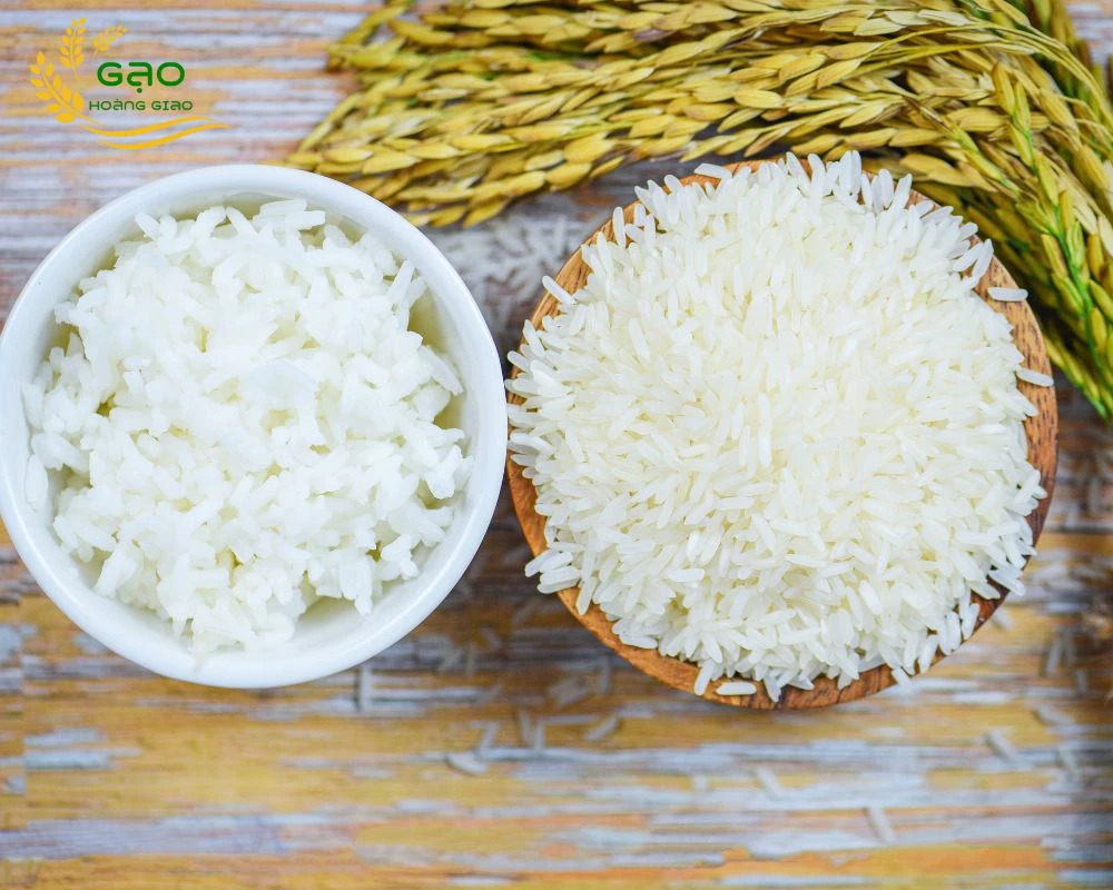 Top 8 Gạo Trắng Thơm Các Loại Được Yêu Thích Nhất Hiện Nay