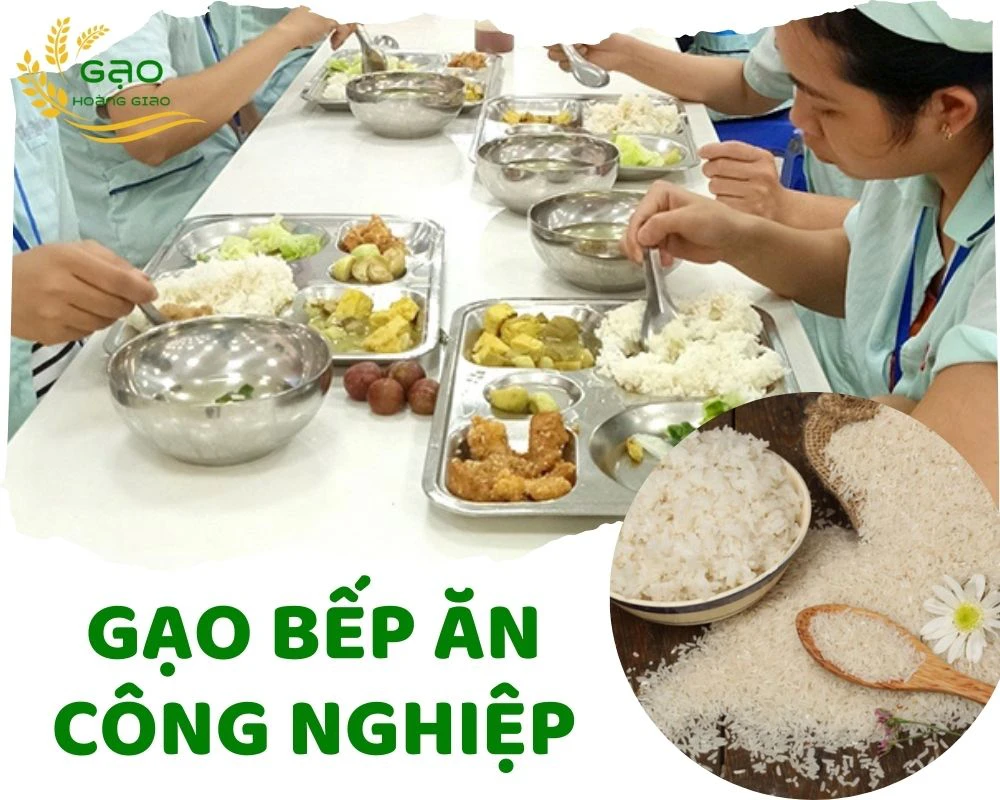 gạo bếp ăn công nghiệp