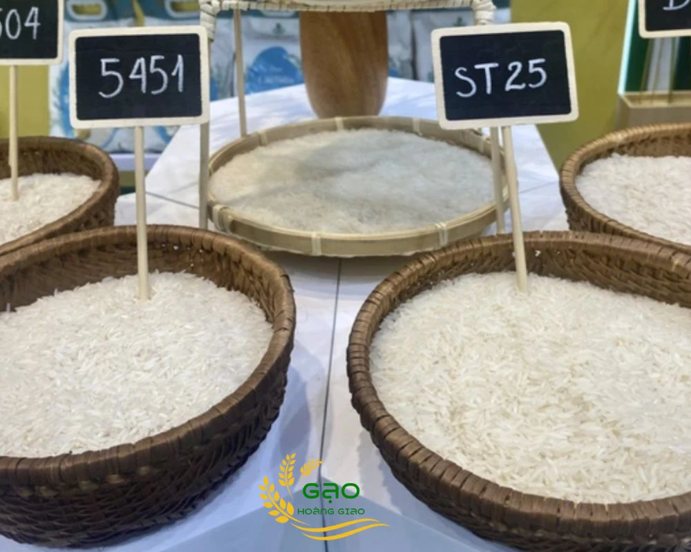 gạo cung ứng xuất khẩu