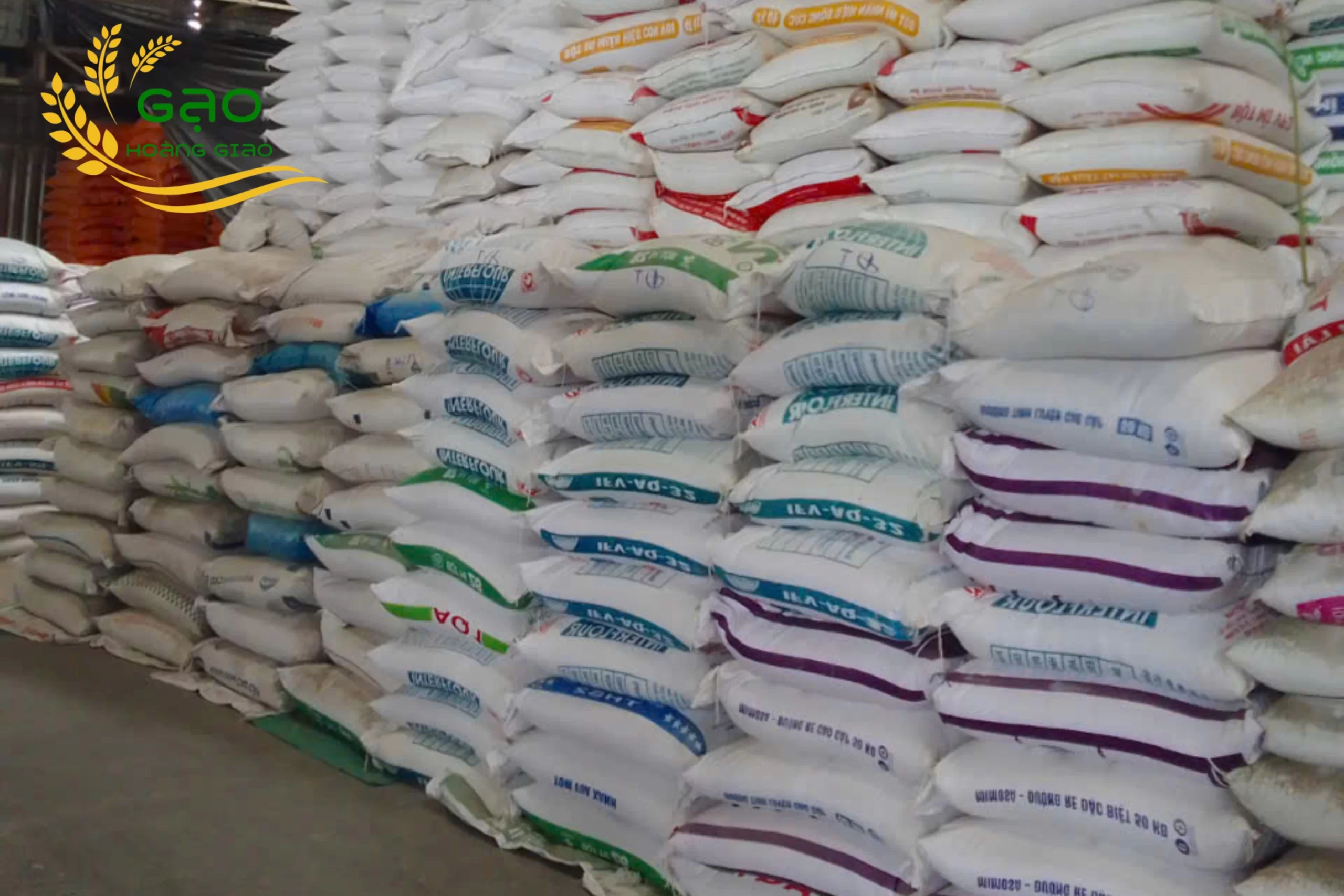 Gạo giá sỉ tại nhà máy Gạo Hoàng Giao