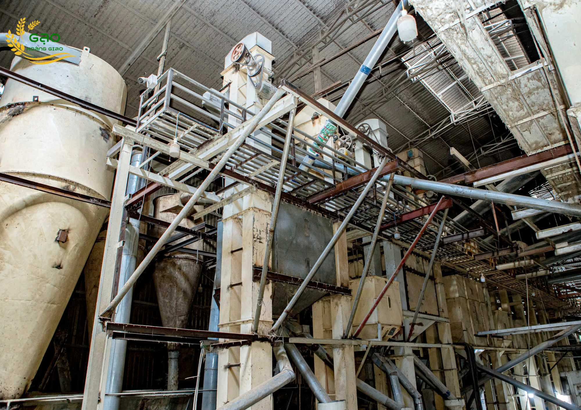 gia công xay xát lúa gạo