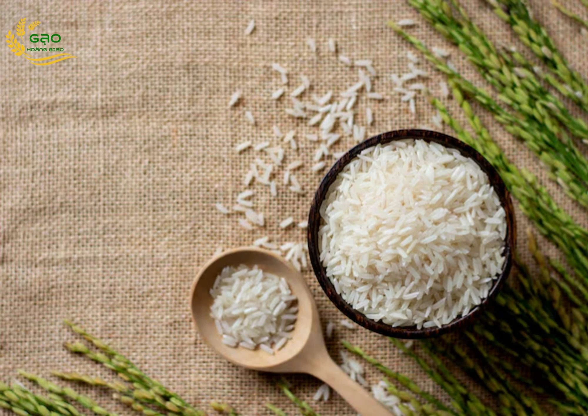 nhà máy xay xát lúa gạo hoàng giao