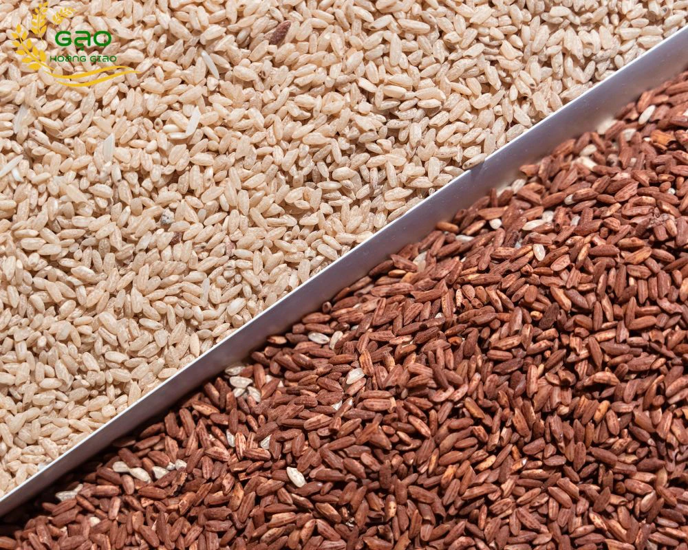 Gạo Lứt Trắng Với Đỏ Cái Nào Tốt Hơn