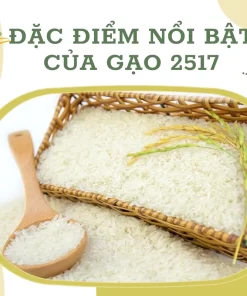 Đặc điểm nổi bật của gạo 2517