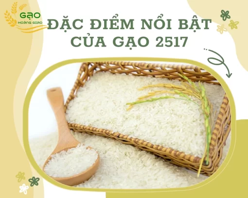 Đặc điểm nổi bật của gạo 2517