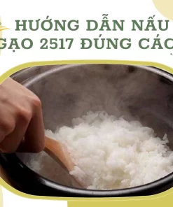 Hướng dẫn nấu gạo 2517 đúng cách