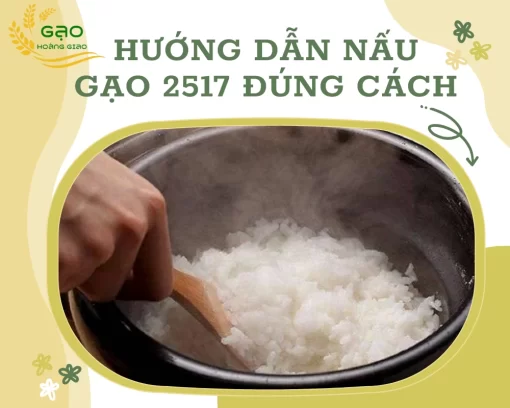 Hướng dẫn nấu gạo 2517 đúng cách