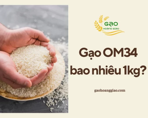 Người tiêu dùng luôn quan tâm gạo OM34 giá bao nhiêu 1kg