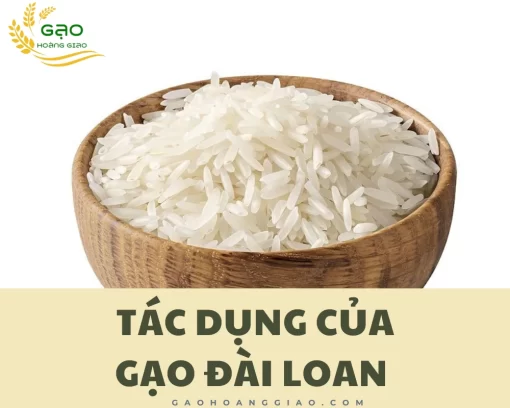 Tác dụng của gạo Đài Loan