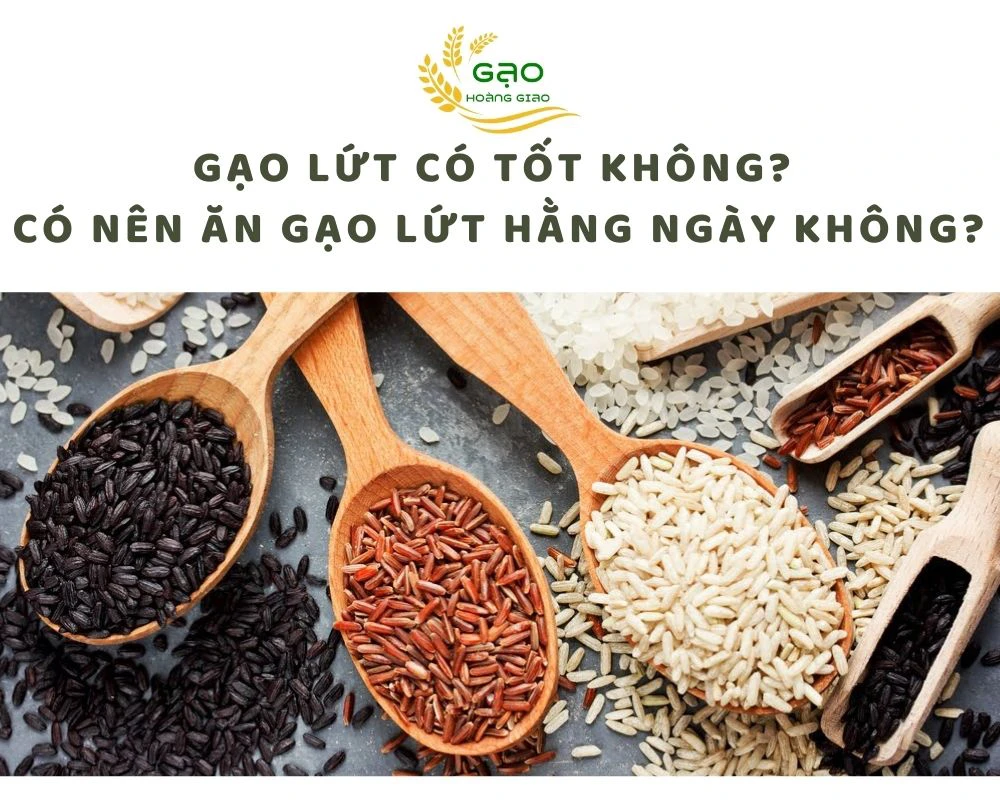 Gạo Lứt Có Tốt Không ? Có Nên Ăn Gạo Lứt Hằng Ngày Không ?