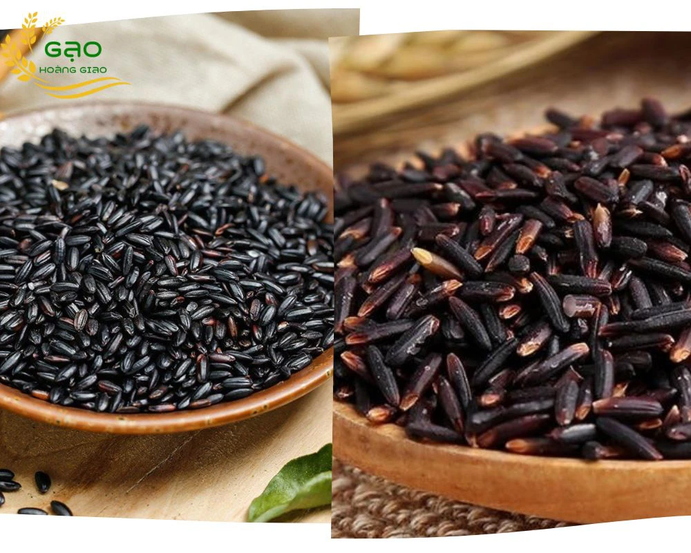 gạo lứt đen và gạo lứt tím