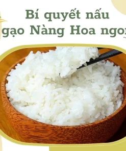 Bí quyết nấu gạo Nàng Hoa ngon