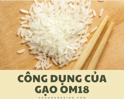 Công dụng của gạo OM18