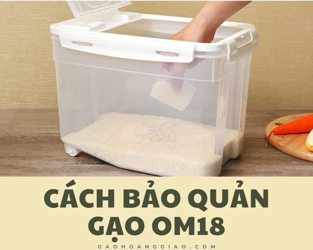 Cách bảo quản gạo OM18