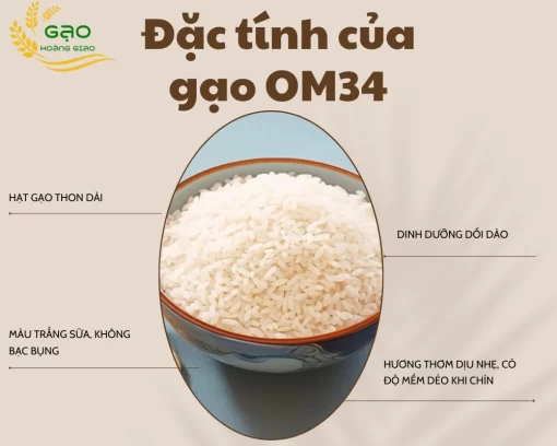 Đặc tính của gạo OM34