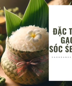 Đặc tính gạo Sóc Sentic