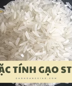 Đặc tính gạo ST21