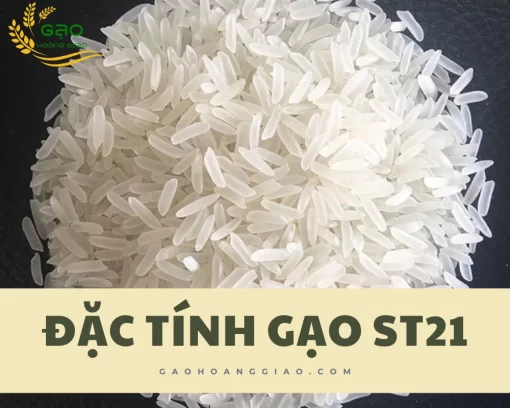 Đặc tính gạo ST21