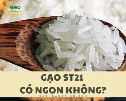 Gạo ST21 có ngon không thường là thắc mắc chung của rất nhiều người tiêu dùng