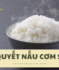 Bí quyết nấu cơm ST21