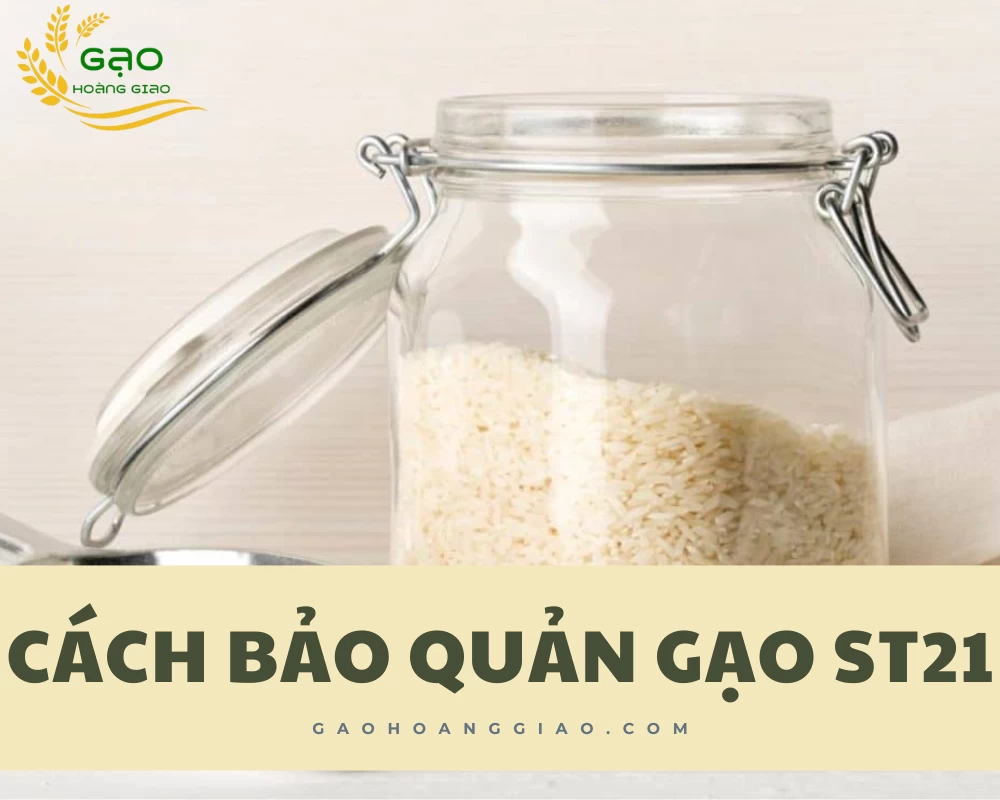 Cách bảo quản gạo ST21