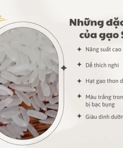 Những đặc tính của gạo ST5