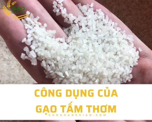 Công dụng của gạo tấm thơm