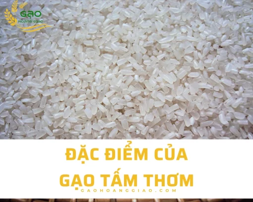 Đặc điểm của gạo tấm thơm