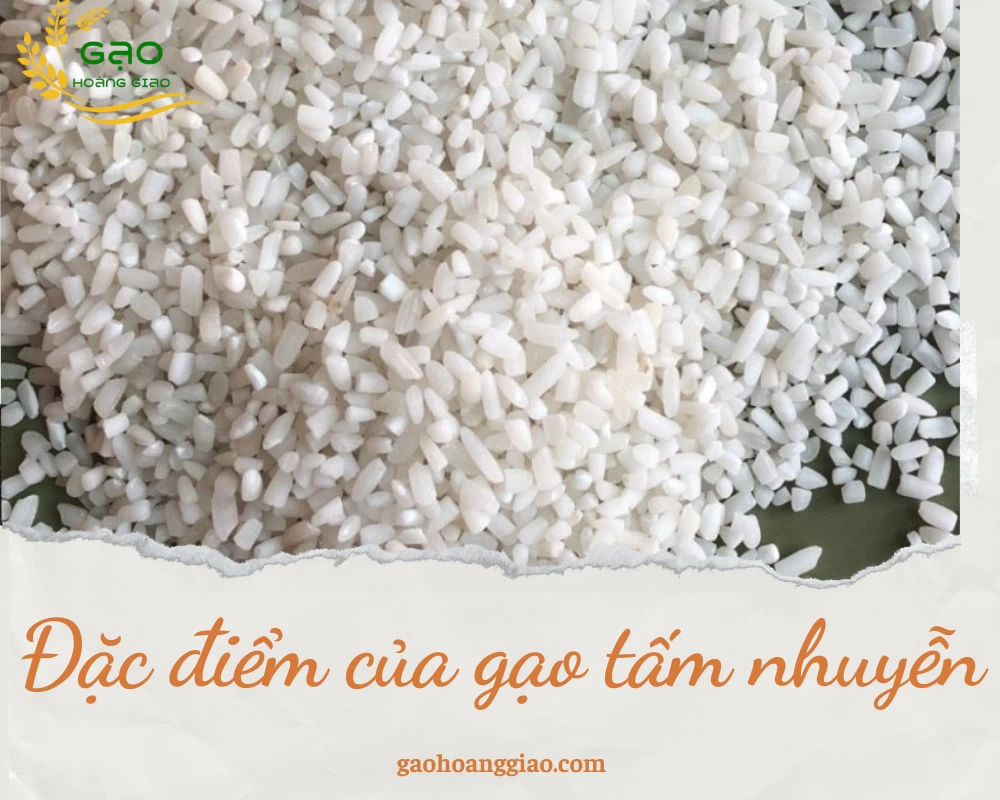 Đặc điểm của gạo tấm nhuyễn