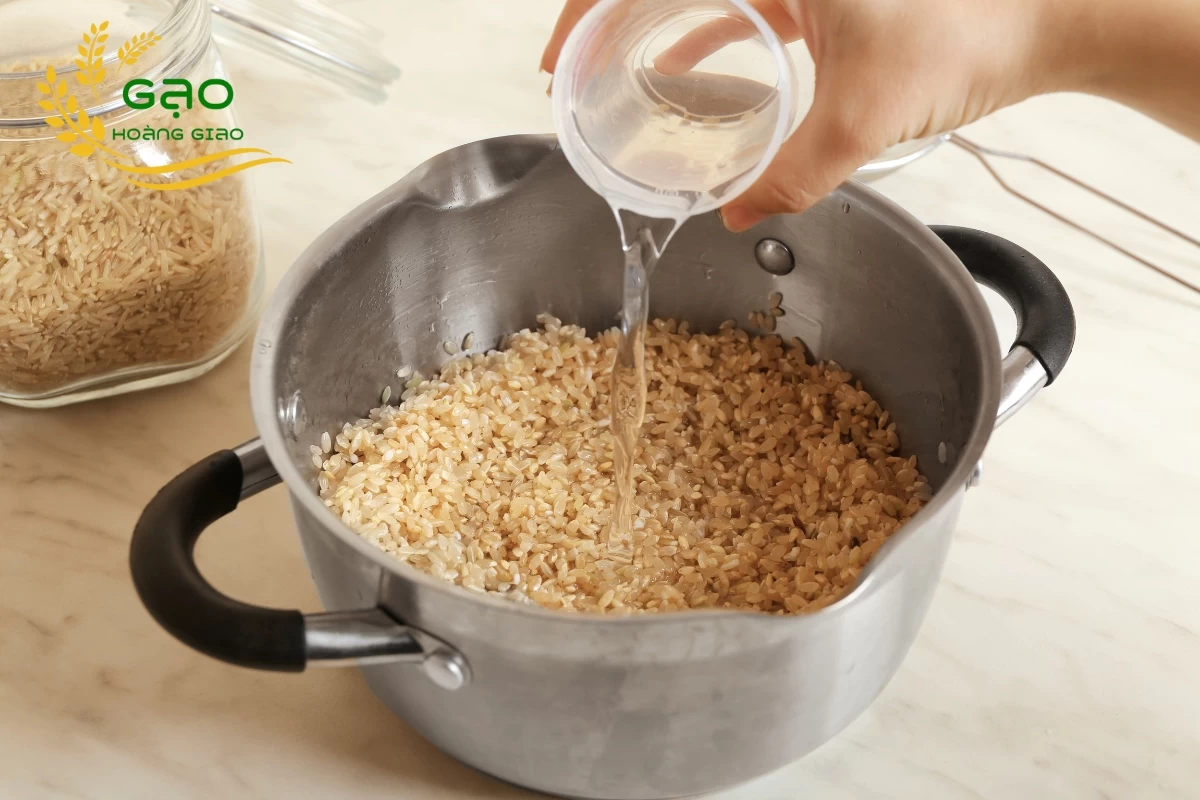 Đổ nước vào nồi nấu gạo lứt