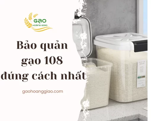 Bảo quản gạo 108 đúng cách nhất