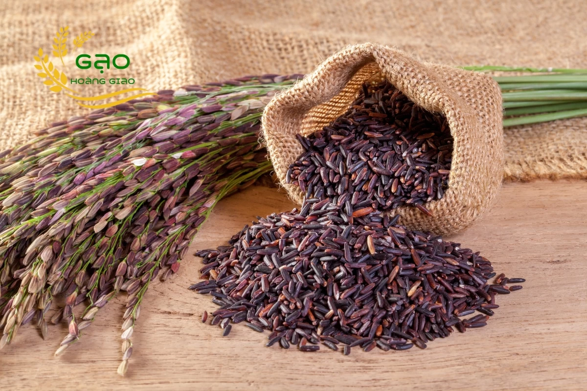 Gạo lứt dẻo, mềm cơm, dễ ăn