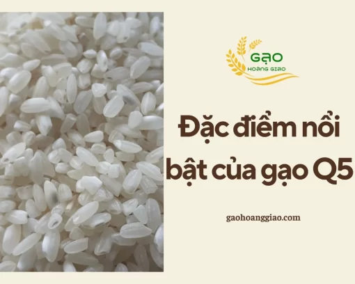 Các đặc điểm nổi bật của gạo Q5