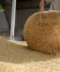 Cám khô được phơi