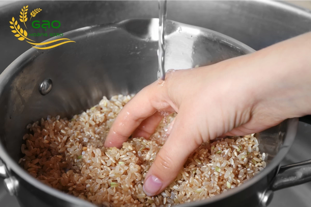 Vo gạo lứt trong nước