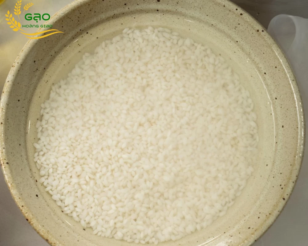 Ngâm gạo nếp trước khi nấu để phần gạo mềm và nở đều