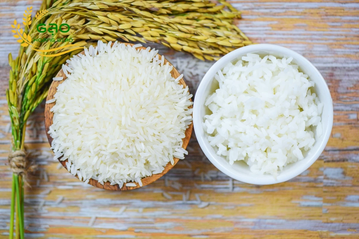 Gạo Séng Cù hạt tròn hay dài ngon hơn