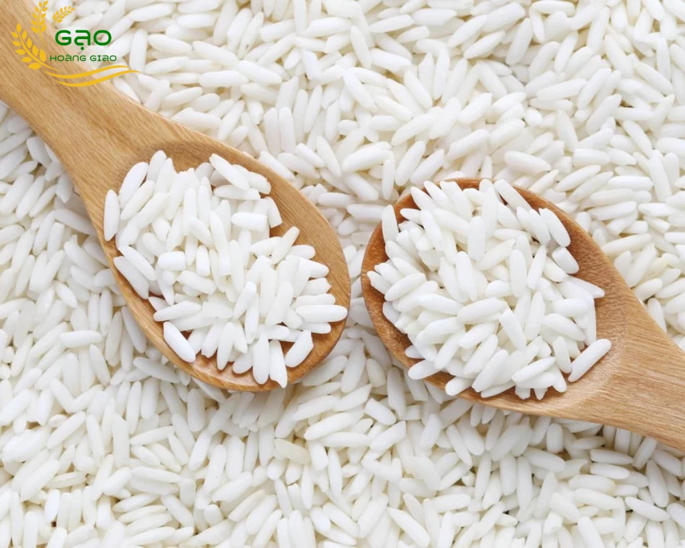 Gạo nếp vải