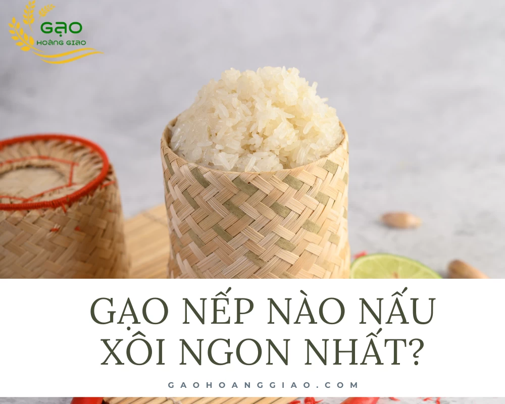 Gạo nếp nào nấu xôi ngon nhất là câu hỏi được nhiều người đặt ra khi tìm gạo nếp nấu xôi