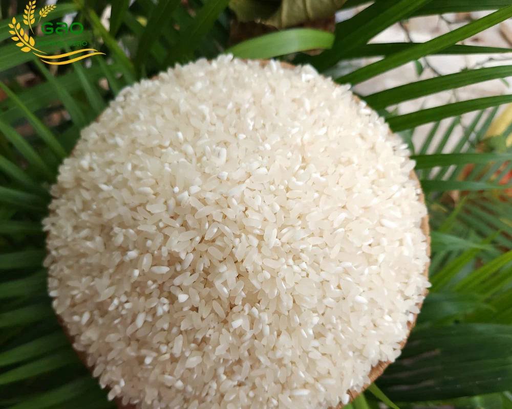 Gạo nếp nương