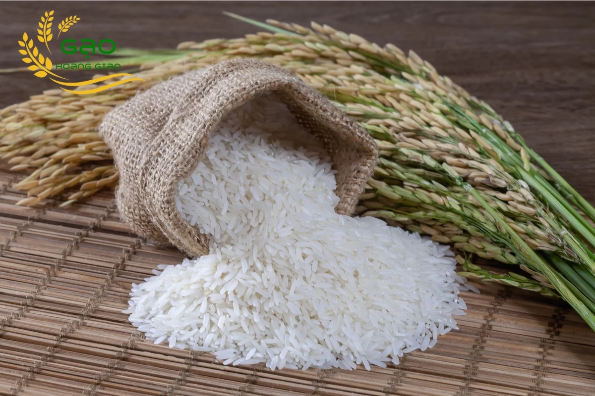 Gạo ngon có hạt chắc mẩy, ít bị ngả vàng, gãy vụn