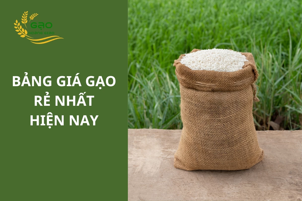 Giá gạo rẻ nhất hiện nay