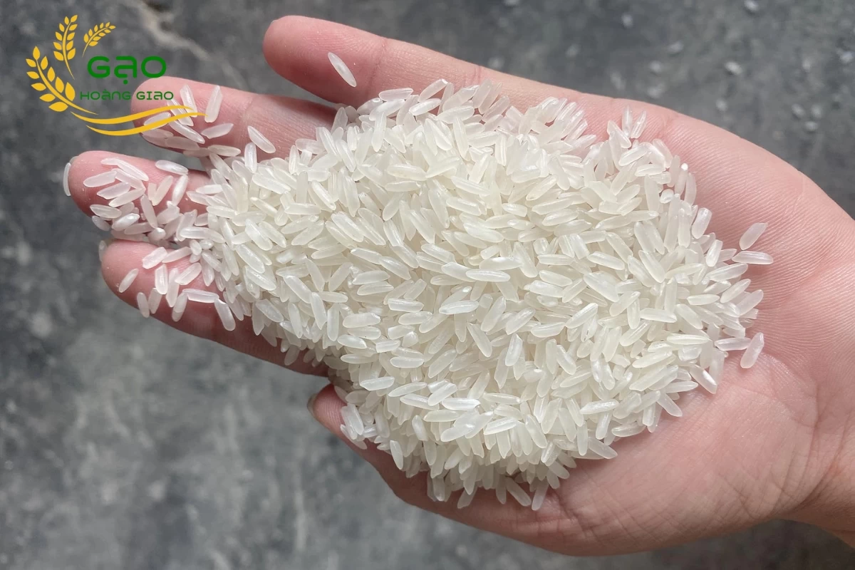 Gạo 5451 có hạt thon dài, mảnh và có màu hơi trắng sữa
