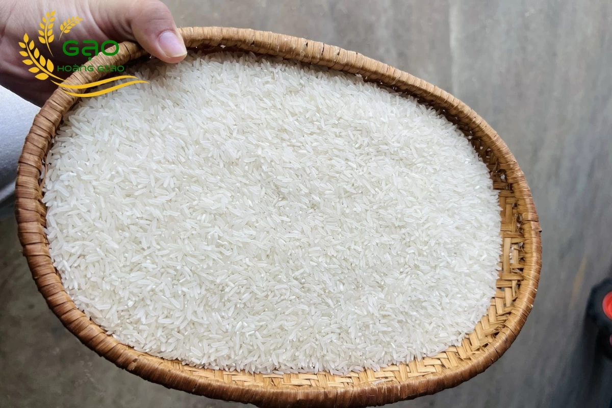 Gạo 5451 tại nhà máy Gạo Hoàng Giao