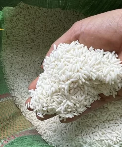 Gạo nếp lào ngon có hạt màu trắng đục và ít bị gãy vụn