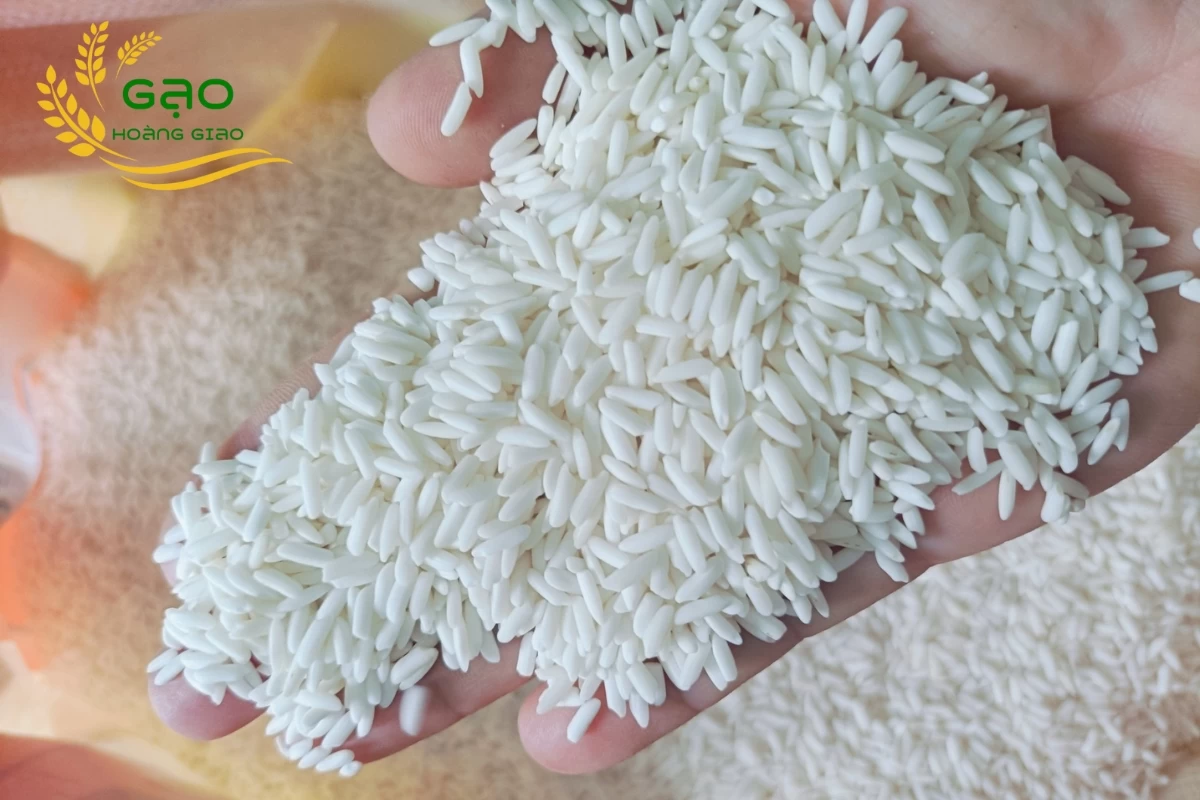 Gạo nếp lào của nhà máy gạo Hoàng Giao