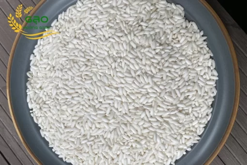 Mẫu gạo nếp ngỗng tại nhà máy Gạo Hoàng Giao