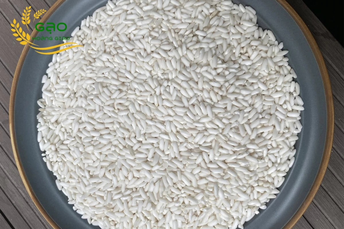 Mẫu gạo nếp ngỗng tại nhà máy Gạo Hoàng Giao