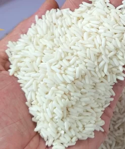 Mẫu gạo nếp Thái tại nhà máy gạo Hoàng Giao