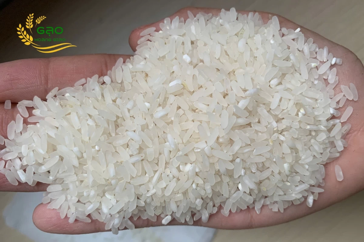 Mẫu gạo Long Định